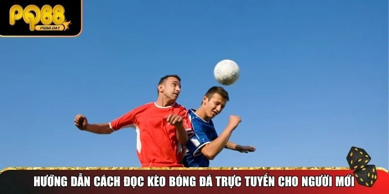 Hướng dẫn cách đọc kèo bóng đá trực tuyến cho người mới