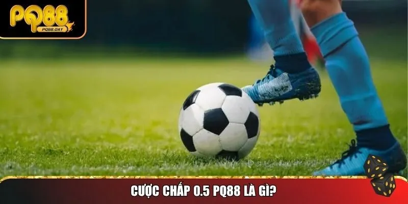 Cược chấp 0.5 PQ88 là gì?