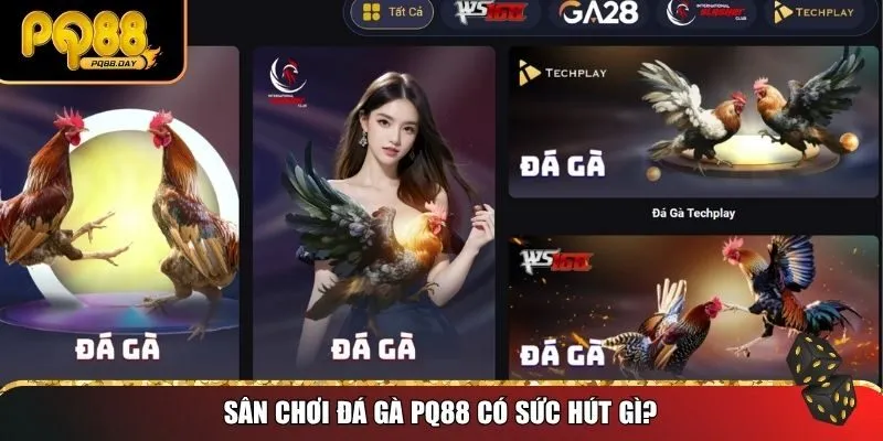 Sân chơi đá gà PQ88 có sức hút gì?