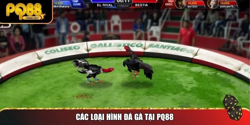 Các loại hình đá gà tại PQ88