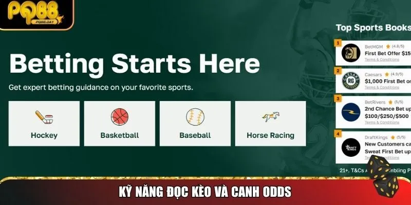 Kỹ năng đọc kèo và canh odds