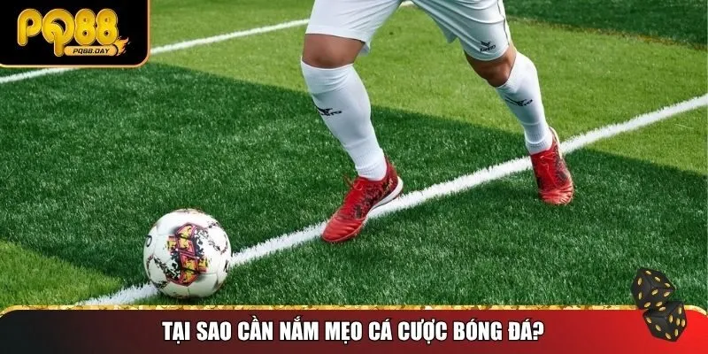 Tại sao cần nắm mẹo cá cược bóng đá?