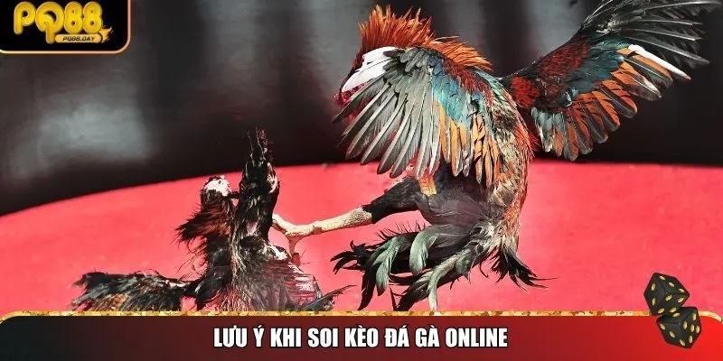 Lưu ý khi soi kèo đá gà online